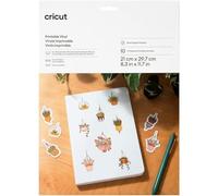 Accessoire CRICUT Vinyl A4 10 feuilles silver