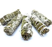 CRIGEMA - Sauge blanche et Genève - X2 Maillons de 10 cm ~ 20/30 g - Découpage pour Purification - Première qualité de Californie (5)