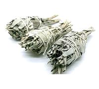 CRIGEMA - Sauge blanche Sciamanica - X3 Mazzetti de 10 cm/17-25g l'une - Émudge pour Purification - Première qualité de Californie (3)