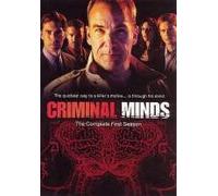 Criminal Minds: Complete First Season [Import USA Zone 1]