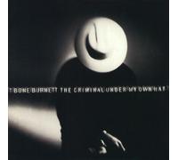 Criminal Under My Own Hat