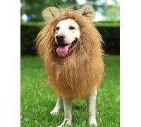 Crinière Perruque, pour Grand Moyen Chiens avec Oreilles Drôle Cadeaux Animal, Crinière Perruque de Drap Bouton Réglable Noël Halloween Cosplay Fête