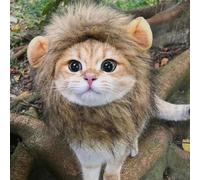 Crinière pour chat, costume de lion pour chat, crinière de lion pour animal de compagnie, perruque de cheveux de lion pour cosplay, vêtements d'Halloween, pour Noël, Pâques, fête costumée