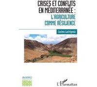 Crises et conflits en Méditerranée Cosimo Lacirignola (Auteur)