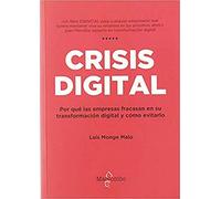 Crisis digital: Por qué las empresas fracasan en su transformación digital y cómo evitarlo