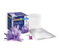 Cristal Violet Individuel La chimie des cristaux Bleu G