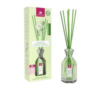 CRISTALINAS Désodorisant pour la Maison Mikado Classique - absorbeur d'odeurs 90ml - Parfum de Dame de Nuit
