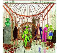 Criterion of The Senses