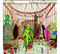 Criterion of The Senses