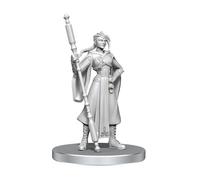 Critical Role Unpainted Miniatures | Figurines RPG de table | Wave 26 (Beauregard Lionett & Caleb Widogast)