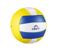 CRIVIT Ballon de football, de volley-ball ou de basket-ball (volley-ball)