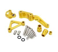 CRJIMX Accessoire Moto En Aluminium CNC Amortisseur De Direction Avec Kit Fixation Complet Pour Ducati Pour Monster 696 795 796 À Partir 2008(Model S)