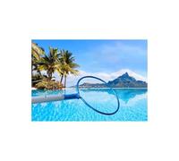 Crochet De Sauvetage pour Piscine, Crochet De Sécurité Multi-Usage pour Secourir Les Nageurs en Difficulté Qui Se Noient, Longueur : 95 Cm, 300 Cm, 500 Cm, Outils De Sauvetage(16.4FT)