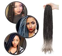 Crochet Extensions de Cheveux Sénégalais 24" Un Paquet Synthétique Mèche Tresse Africaine Tressage Cheveux Twist Tresses Fibre Cheveux - Noir Naturel à Argent