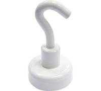 Crochet magnétique TOOLCRAFT 36 mm 4 pc(s) N/A