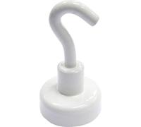 Crochet magnétique TOOLCRAFT 36 mm 4 pc(s) N/A