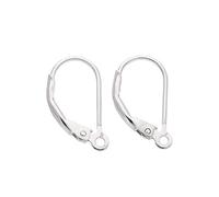 Crochets pour Boucles d'Oreilles en Argent 925/1000