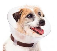 Croci - Collier Élisabéthain pour Chiens Taille M, Collier Élisabéthain en Forme des Cône pour la Protection et Le Soin des Chiens et des Chats, Évite Les Griffures, Les Morsures, 15 cm