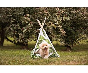 Croci Coussin en Forme de hamac pour Chiens et Chats en Microfibre Douce | Chenil pour Chien et Chat avec Coussin rembourré Doux à l'intérieur | Jungle TIPI Fantaisie | Tailles : 50X48X70cm