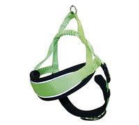 CROCI Endurance Hiking Harnais Suédois pour Chien Vert Taille M