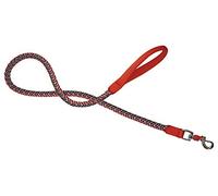 CROCI Endurance Hiking Laisse pour Chien Orange 15 x 1200 mm