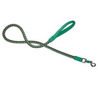 CROCI Endurance Hiking Laisse pour Chien Vert 15 x 1200 mm