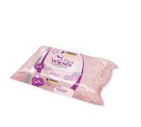 CROCI Gill's Lingette Nettoyante Talc pour Chien 40 Pièces - Lot de 1