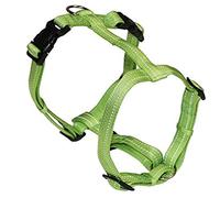 CROCI Harnais en Nylon pour Chien Vert 15 x 350-500 mm