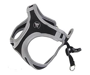 CROCI Hiking Bavette pour Chien Réflective XL