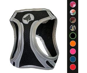 CROCI Hiking Bavette pour Chien Réflective XS