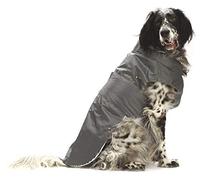 Croci Montréal - Manteau pour Chien, Manteau d'Hiver, Veste Imperméable, Taille 30 cm, Gris