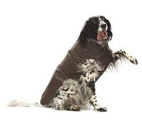 Croci Montréal - Manteau pour Chien, Manteau d'Hiver, Veste Imperméable, Taille 30 cm, Marron