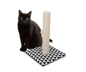 Croci Optical Basic - Griffoir pour Chats Adultes, Grands et Petits, Tapis avec Arbre et Cordes avec Boule Calmante pour Chat, Grattoir en Carton, Accessoires et Jeux pour Animaux Domestiques