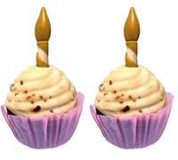 Croci Pet's Party Cupcake Gâteau d'anniversaire pour Chien sans Sucre ajouté 65g (Lot de 2)