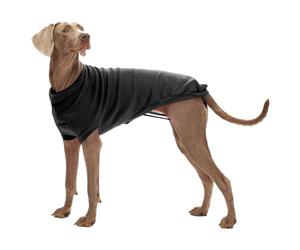 CROCI Stockholm Pullover pour Chien Noir 50 cm