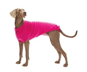 Croci Stockholm Pullover pour Chien Rose 65 cm