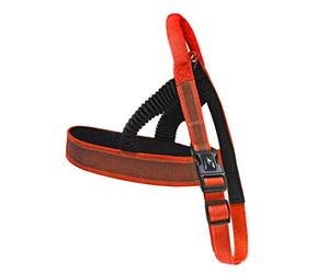 CROCI Venture Harnais en Elastique Rouge pour Chien 38 x 900-1000 mm