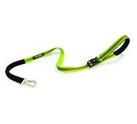 CROCI Venture Laisse Elastique pour Chien Vert 15 x 1200 mm