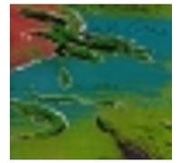 Crocodile