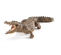 Crocodile (Bundle)