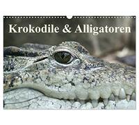 Crocodiles & alligators, Version française (Calendrier mural 2026 DIN A3 portrait), Calendrier CALVENDO mensuel