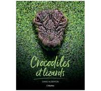Crocodiles Et Lézards