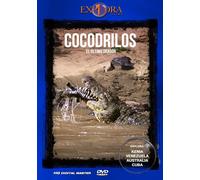 Crocodiles, Le Dernier Dragon (Cocodrilos, El Último Dragón)