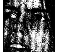 Crocodiles - Summer of Hate