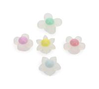 Crocs Iridescent Flowers 5 Pack, Breloques de Chaussure Mixte, Multicolore, Taille Unique