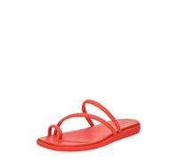 Crocs Miami Toe Loop Sandales Femmes Starfish 39
