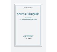 Croire à l'incroyable: Un sociologue à la Cour nationale du droit d'asile