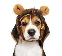 Croise Crinière de Lion pour Chien, Crinière de Lion pour Chat, Perruque avec Oreilles, Ajustable, pour Chien et Chat Déguisement de Lion, pour Cosplay, Vacances, Séances Photo | Mesure 8 cm