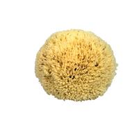 Croll & Denecke Naturschwamm P130 Premium