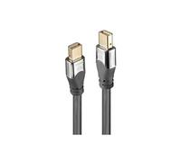 CROMO - Câble DisplayPort - Mini DisplayPort (M) pour Mini DisplayPort (M) - DisplayPort 1.2 - 3 m - rond, support 4K - gris